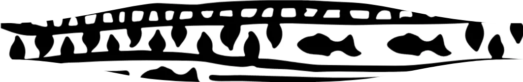 Template thumbnail